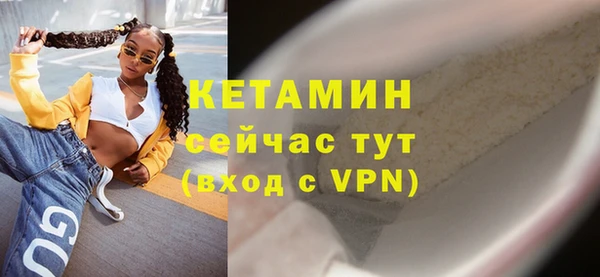 шишки Аркадак