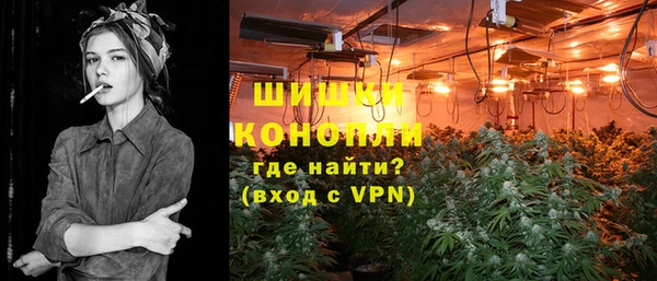 шишки Аркадак