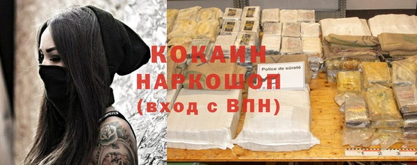 шишки Аркадак